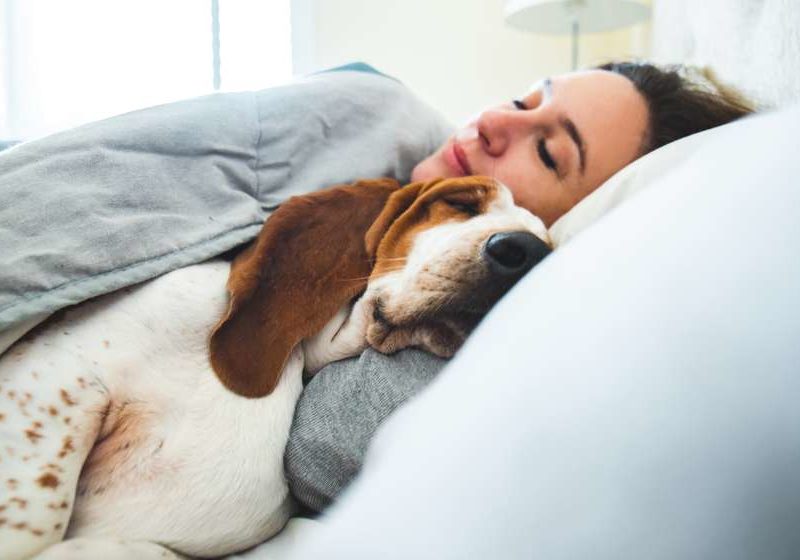 girl sleeping with dog on bed Is a Hormone Imbalance Affecting Your Sleep feat ss