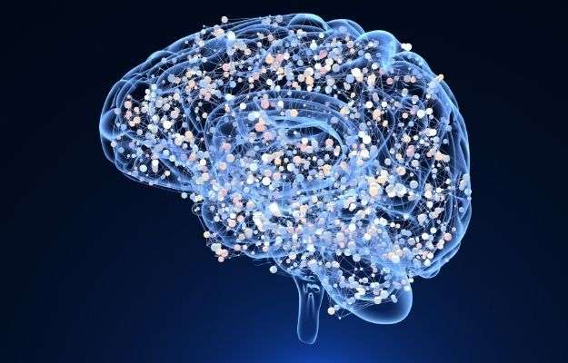 Brain cells 3D illustration | Delays Neurodegeneration | Benefits of Spermidine for Cell Renewal