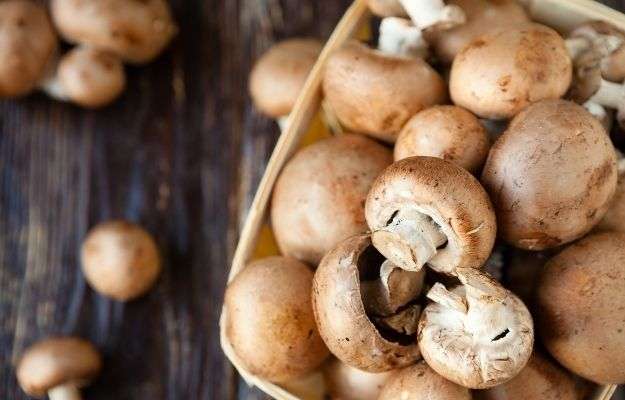 mushroom | Other Foods | How to Treat A Leaky Gut With Food And Supplements