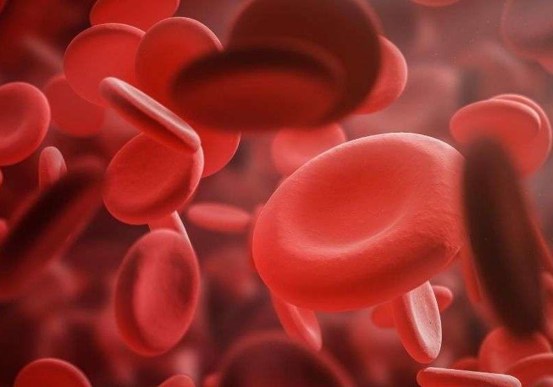 hemoglobin-red-blood-cell-image | Feature | UBI Therapy: How It Improves Immunity, Circulation, and More