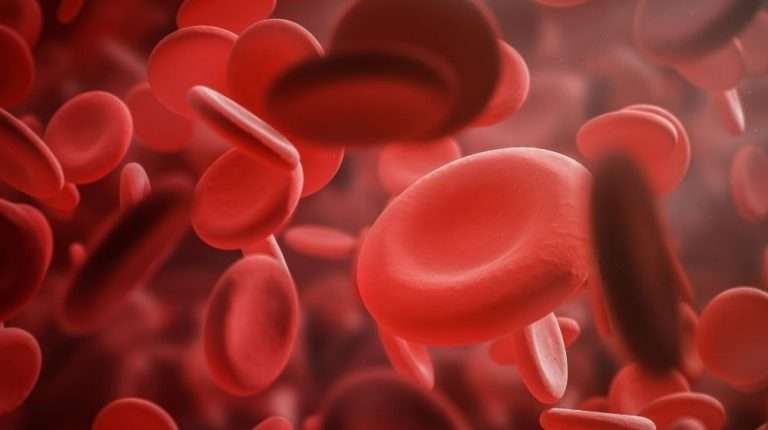 hemoglobin-red-blood-cell-image | Feature | UBI Therapy: How It Improves Immunity, Circulation, and More