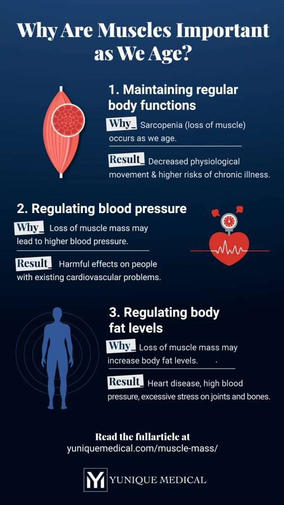 YM_0821_infographic The Important Role of Muscle Mass in Our Health As We Age