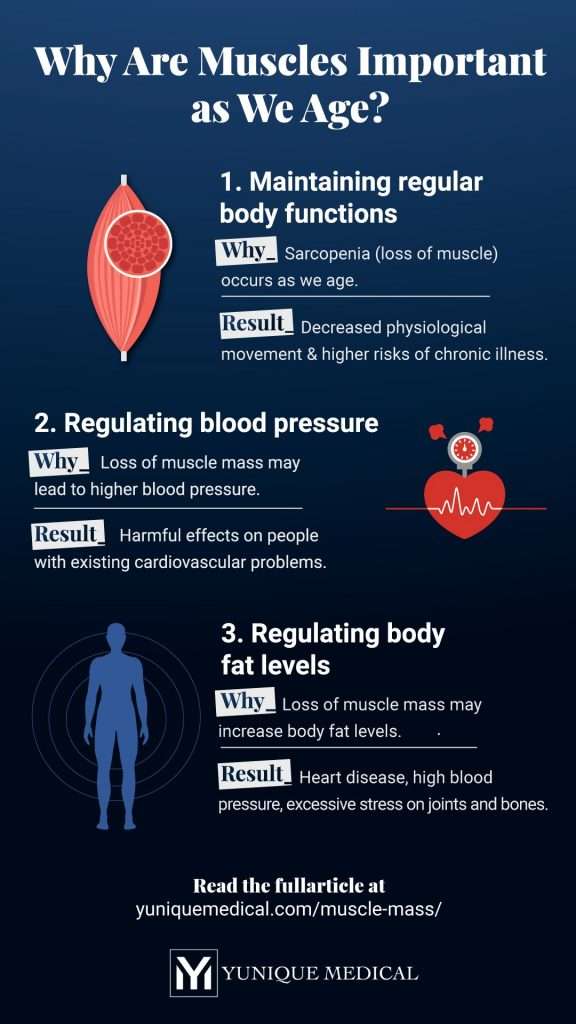 the-important-role-of-muscle-mass-in-our-health-as-we-age-yunique-medical