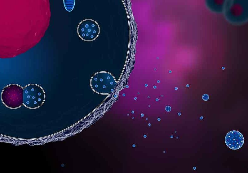 3d-illustration-of-a-cell-secreting-exosomes-ss-feat | # Reasons Why Exosome Therapy Is The Forefront Of Regenerative Medicine