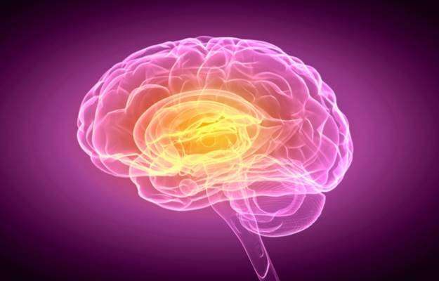 3D brain with purple background Preserving Brain Function